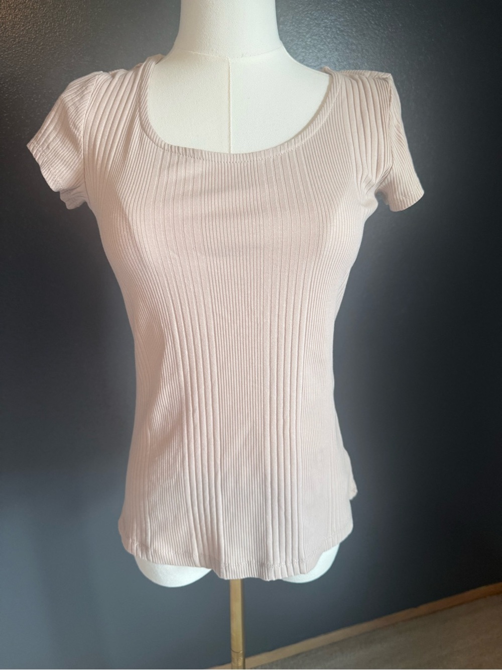 Rachel Zoe Ribbed Scoop Short Sleeve Tee in Light Blush